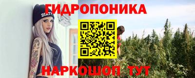 дурь Кимры