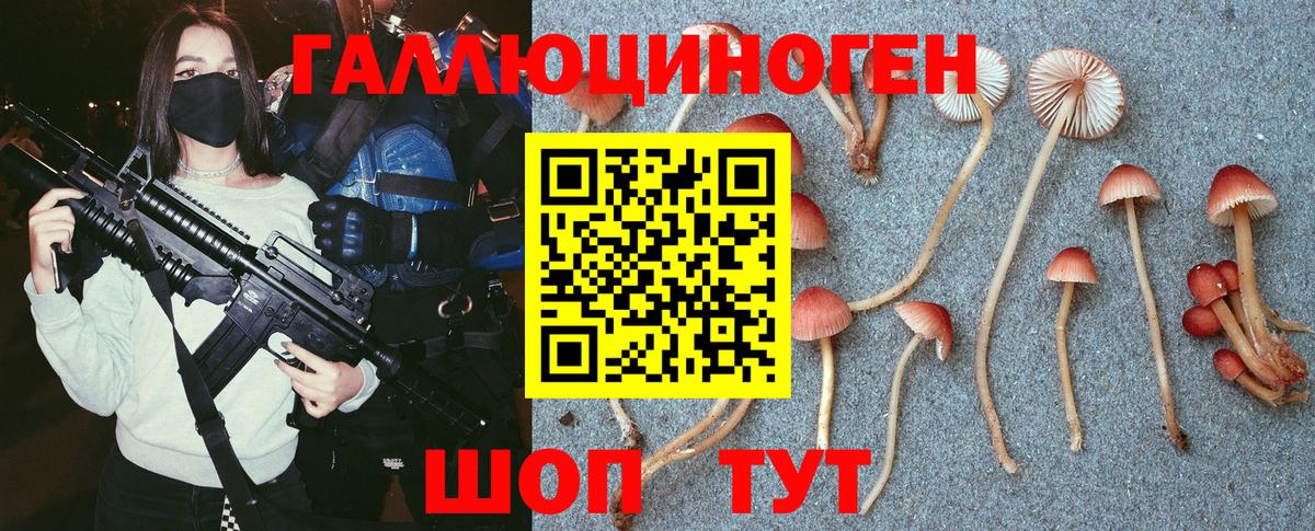 Галлюциногенные грибы Cubensis Краснознаменск