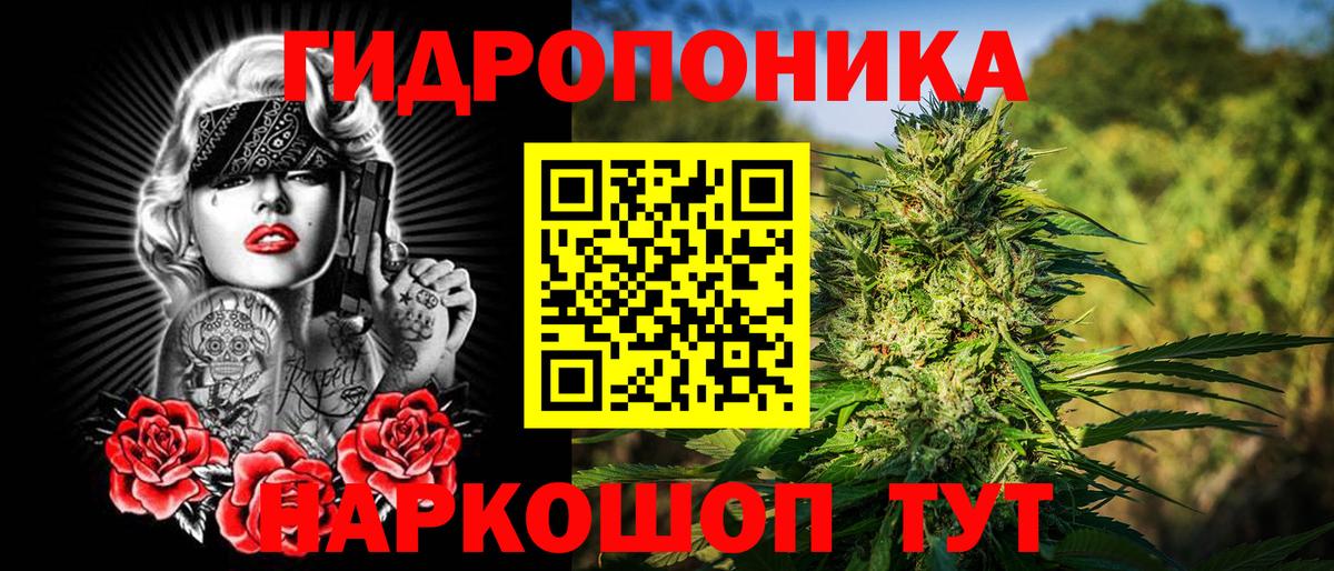 Краснознаменск  Конопля MAZAR  Марихуана сатива  Вход с VPN 